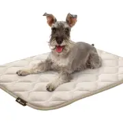 Paw Inspired® Washable Padded Plush Dog Crate Mats Kennel Pads Mattress Tan