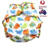 Top Quality Sleepy Nights Modern Cloth Nappy Unisex Baby Cloth Nappy- Free Liner