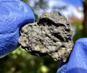 meteorite:: NWA 13788 Weight 1.191 Grams