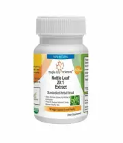 Nettle Leaf Extract Capsules 20:1 Urtica dioica Extract Pure & High Quality