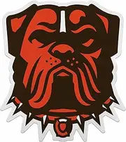 Rico Industries NFL Football Cleveland Browns Secondary Shape Cut Pennant - Home and Living Room Décor - Soft Felt EZ to Hang