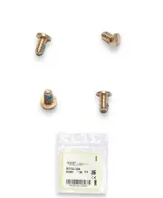 Ray Ban RB4342 Golden Replacement Backside Screws Genuine ITALY