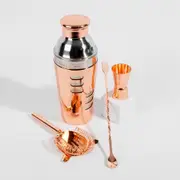 Refined Gifts Rose Gold Cocktail Shaker & Bar Tool Set