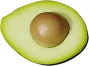 KAILIKETIY Artificial Avocado Decor Lifelike Faux Fruit for Kitchen Home Decor Table Centerpiece