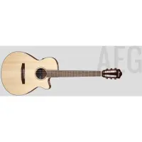 在飛比找蝦皮購物優惠-【名人樂器】IBANEZ 印尼廠 AEG50N NT