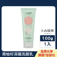 在飛比找PChome24h購物優惠-【tsaio上山採藥】青柚籽深層洗顏乳100g