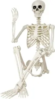 Halloween Skeleton Decorations,36" Posable Human Skeleton Halloween Decoration