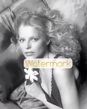 CHERYL LADD Glamour Portrait ** Fine Art Archival Print (8.5"x11") fr. Orig. Neg