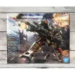 《GTS》BANDAI 模型 MG 1/100 鋼彈 SEED 暴風鋼彈 5062906