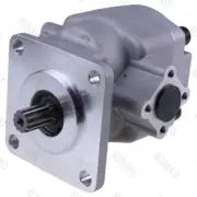 Power Steering Pump SBA340450490 for Case D25 D29 D33 DX25 DX29 DX33 DX48 DX55