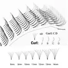 Curl Cluster False Lashes Mink Lash Russian Volume 6D Natural Individual Lashes