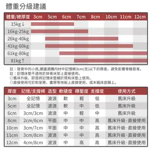 【LooCa釋放壓力的專家】10cm 平面款 竹炭 惰性棉 釋壓 記憶床墊 透氣 防塵布套 經典灰 記憶床 平面記憶床