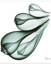 Empire Art Direct Coastal Serenity I by Albert Koetsier Wall Art