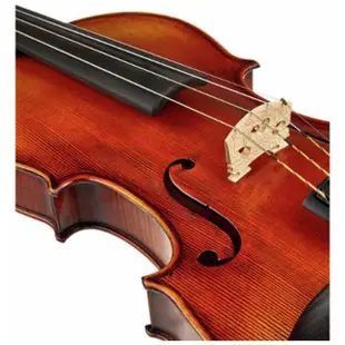 【德國GEWA】Maestro-2小提琴VL4(德國第一品牌)