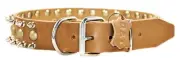 Dean and Tyler Dog Collar, Tan, Size 40"x1-1/2" - Fits Neck 38-Inch to 42-Inch