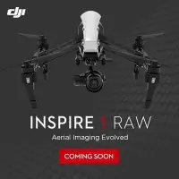 在飛比找Yahoo!奇摩拍賣優惠-大彊 DJI 【Inspire 1 RAW   雙遙控器 】