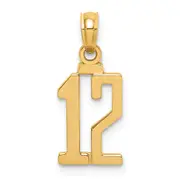 14K Yellow Gold Polished Number 12 Pendant