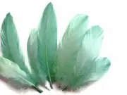 1 Pack - Mint Green Goose Nagoire Loose Feather 0.25 Oz. Craft Supplier Wedding
