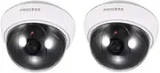 XYWHPGV Fake Security Camera Dummy Dome CCTV with Blinking Red LED Warning Alert Light for Home Outdoor Indoor White 2pcs(994f4 0ee0a 020e4 2fbe9 0bde6 7e693