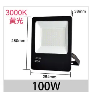 【青禾坊】歐奇OC 100W LED 戶外防水投光燈 投射燈-2入(超薄 IP66投射燈 CNS認證)