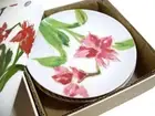 Paula Deen Christmas Holiday Red Amaryllis Flower Salad Dessert Plates Set of 4