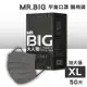 【匠心】MR.BIG 大人物 成人平面醫用口罩(XL加大版) 30入/盒