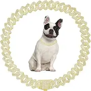 Dog Necklace,Bling Dog Chain Collars Diamond Cuban Link Dog Collar Rhinestone Cat Chain Sparkly Glitter Girls Female Kitten Puppy Necklace for Small Medium Large Pet (Gold, 20 inch)