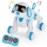 R3 Robot Dog Toy - Remote Control Robots Interactive Smart Dancing Toy for Bo