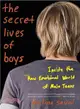 The Secret Lives of Boys:Inside the Raw Emotional World of Male Teens