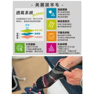 Smartwool 智慧羊毛 女機能戶外全輕量減震民族風印花中筒襪 淺灰 SW001580H85【野外營】羊毛襪