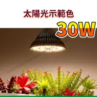 在飛比找蝦皮商城精選優惠-200LED 太陽光植物燈 30W 植物燈泡 LED植物燈 