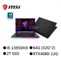 在飛比找蝦皮商城優惠-MSI 微星 Raider GE78HX 13VH-017T