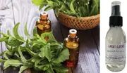 Peppermint & Eucalyptus - Room Spray