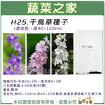 【蔬菜之家滿額免運】H25.千鳥草種子0.05克(約60顆) (混合色，高90~120CM) 花卉 花類種子 飛燕草 花