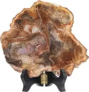 Amogeeli Natural Petrified Wood Slice Stone Specimen with Wooden Stand, Irregular Mineral Crystal Decoration for Home & Office