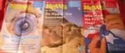 3 SCHOLASTIC WEEKLY READER BIG ISSUES MAY JUNE 2013 HIPPOS EYEBALL FIRST GRADE