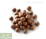 Macadamia Nuts In Shell - 1KG