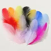 Colourful Feathers, 300 Pieces Feather Craft Feathers Decorations Feather Coloured Feather Mixed Colours Feathers Craft for DIY Dream Catcher Carnival Decorations Hat Vase Mask