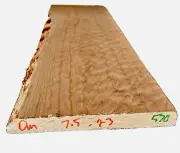 Quilt Figured Maple Billet 23”x7.5 .85”KD Big Leaf Guitar Bass Top Kiln Dried