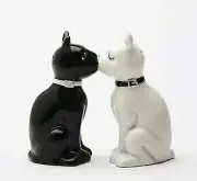 Feline Spicey Black & White Cats Salt & Pepper Shaker Set S/P by Pacific Trading