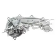 Dayco Water Pump to suit Toyota Hiace & Hilux LandCruiser Prado - DP806