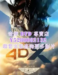 在飛比找Yahoo!奇摩拍賣優惠-DVD 影片 專賣 電影 捍衛戰士：獨行俠/壯志淩雲2：獨行