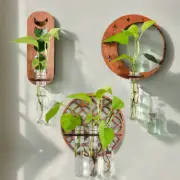 Plant Propagation Station Wall Hanging Wooden Moon Phase Plant Terrarium for Hyd