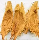 Coconut Husk Fiber 100% Natural Growing Media For orchid,Anthurium& hoya Plant