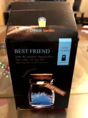 Blue Crystal Garden Wish Flower (Grow Crystal in a Jar)