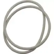 R0353400 Waterco CC Series Jandy CT Series Cartridge Filter tank o-ring