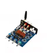 Power Reverse Connection Protection Mini Class D Power Amplifier 2.0 Channel