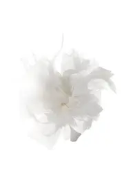 Phar Lap Fascinator--IVY-H545