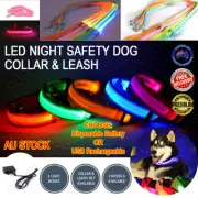 LED Night Safety Dog Collar Nylon Pet Puppy Glow Flashing Light Leash Set USB