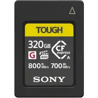 在飛比找momo購物網優惠-【SONY 索尼】CEA-G320T 320G/GB 800